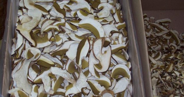 Funghi Porcini Secchi